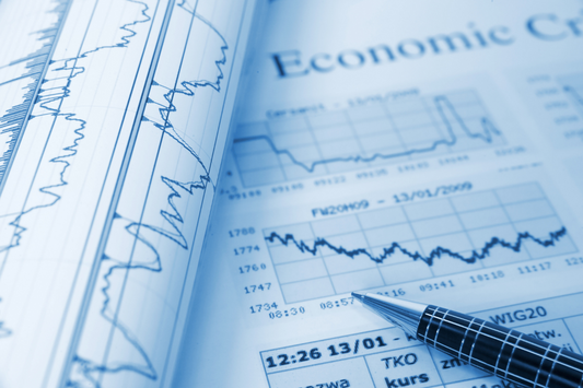 Prep for Success AP Economics - 1-week seminar class