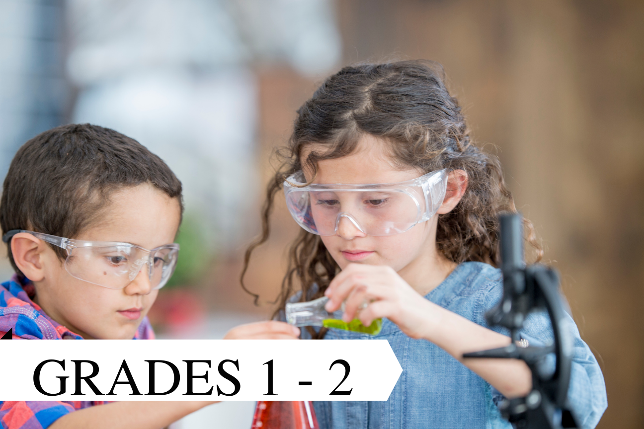 Young Scientist (Broward Campus Only)