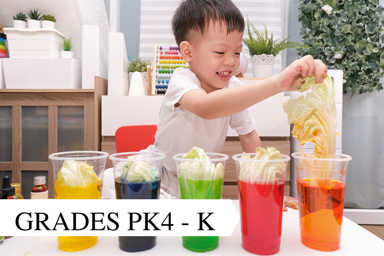 Young Scientist (Broward Campus Only)