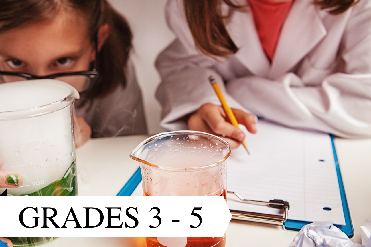 Science Adventure Camp (Broward Campus)